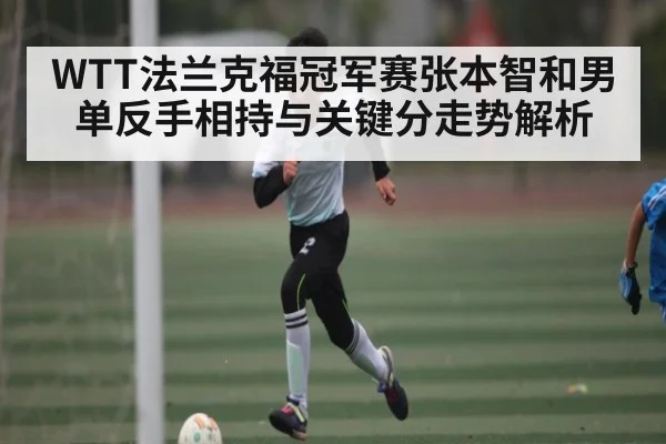 WTT法兰克福冠军赛张本智和男单反手相持与关键分走势解析